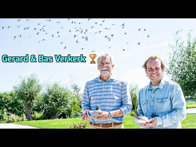 Verkerk Racing Pigeons: Secrets of a Champion Breeding Loft! ️