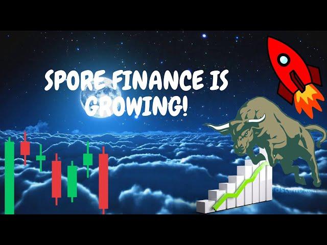 Spore Finance keeps on Growing! New Matic Projects!