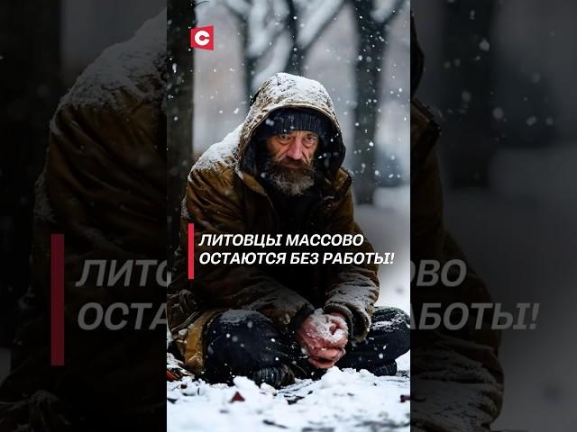 Безработица в Литве продолжает расти! #литва #вильнюс #работа #цены #ес #кризис #политика