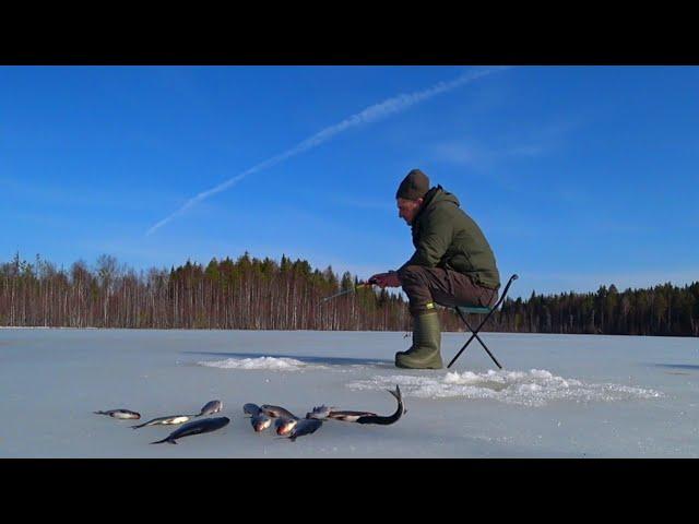 Рыбалка на Мормышку и Блесну. Закрываю Сезон