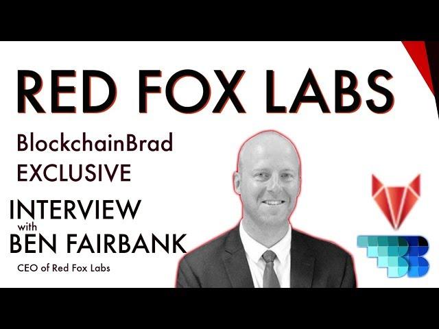 Red Fox Labs | CEO Exclusive | BlockchainBrad | Blockchain Business Accelerator | Venture Builder