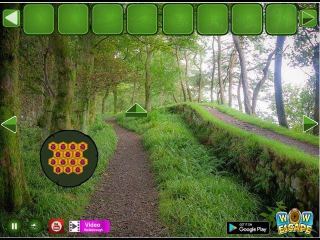 fabulous forest escape video walkthrough