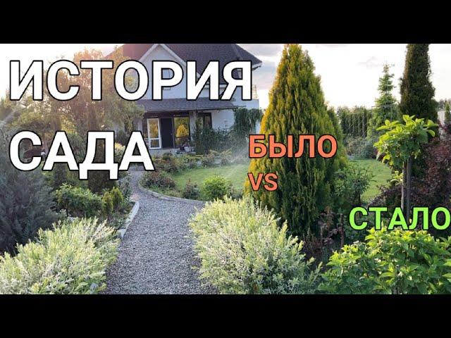 САД 5 ЛЕТ СПУСТЯ | БЫЛО / СТАЛО | Каким стал сад за 5 лет