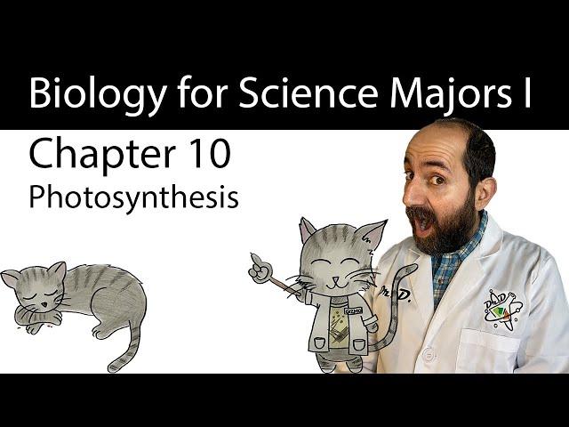 Chapter 10 - Photosynthesis