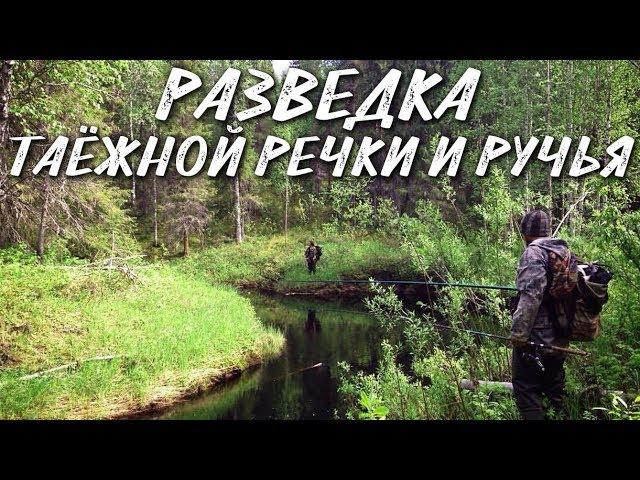 РАЗВЕДКА ТАЕЖНОЙ РЕЧКИ И РУЧЬЯ / РЫБАЛКА НА СЕВЕРЕ