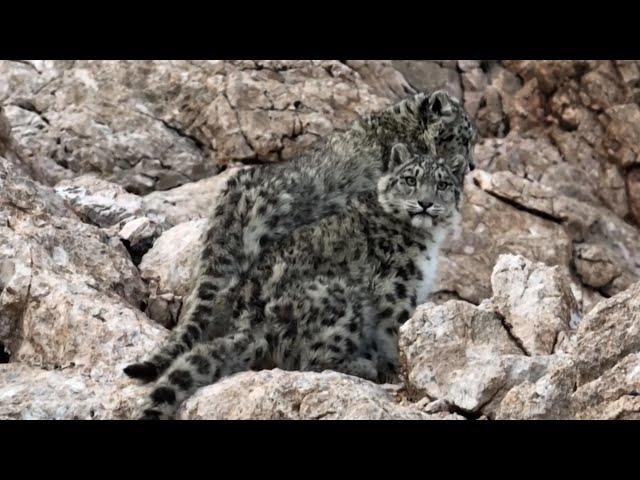 Journey into a wildlife haven in Xizang