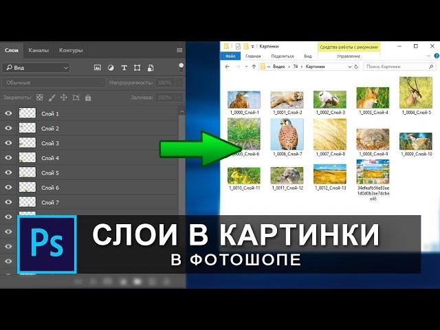 как сохранить слои в отдельные файлы в фотошопе