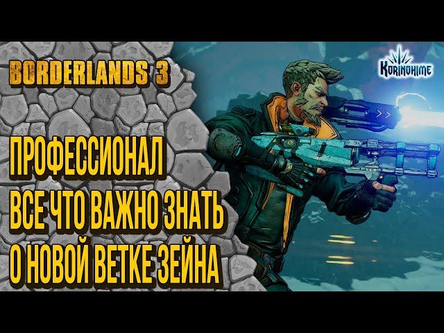 Borderlands 3. Профессионал. Все что важно знать о новой ветке Зейна.