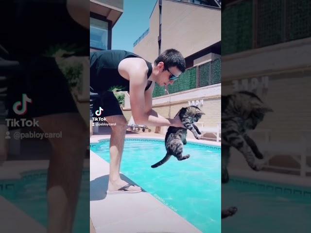 Mi Gata se cae a la piscina!!!