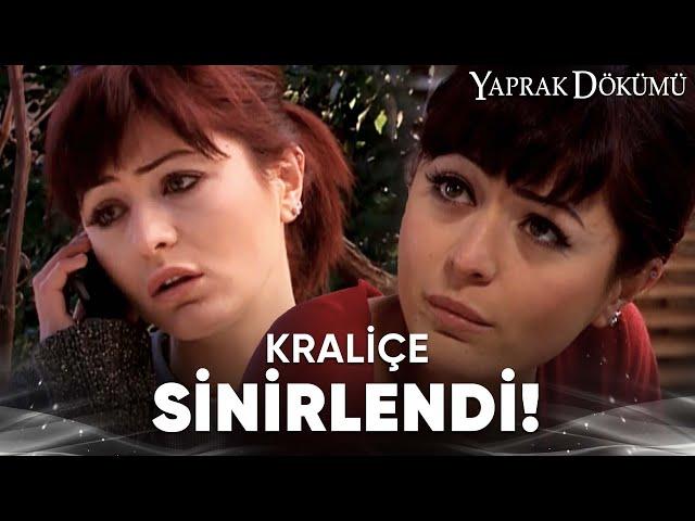 Ferhunde'nin Entrikaları! - Ağzınızın Tadını Kaçıracak Videolar