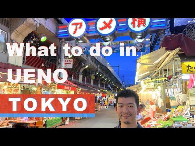 A Must See Area in Tokyo for Sight Seeing  What's in Ueno, Tokyo