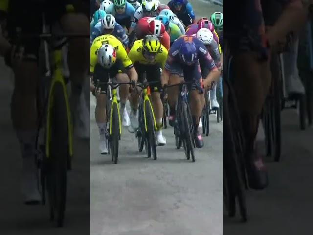 OLAV KOOIJ WINS A SPRINT ROYALE  And what about that leadout from Wout van Aert? 