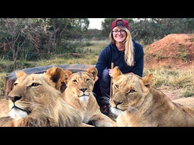 A Day in the Life: Living With Big Cats