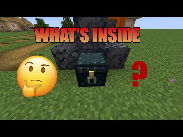 What's inside the enderchest   #shorts