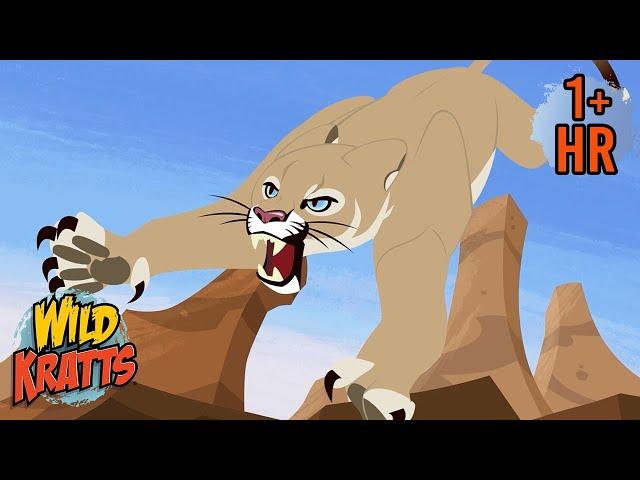 There is Danger in Nature | Gila Monster and More Wild Animals | Wild Kratts