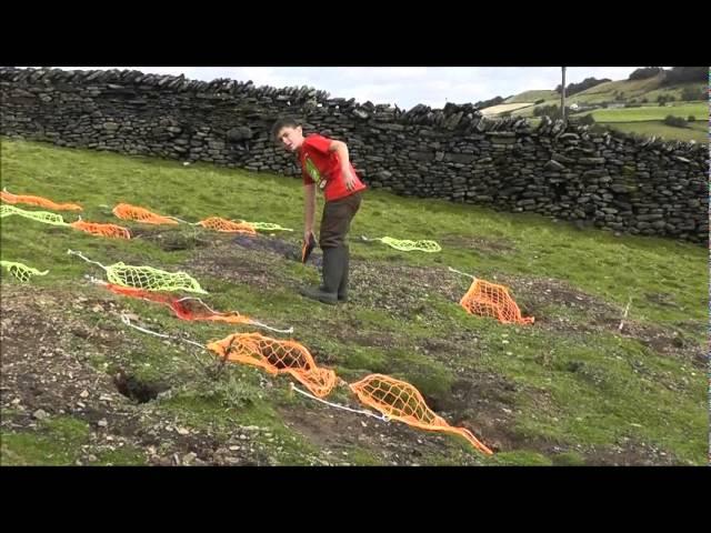 Catching rabbits using ferrets, 27 in 4 hours.