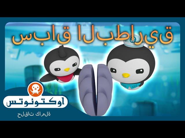 أوكتونوتس |  سباق البطاريق للأولمبياد الصيفية  | السلسلة 1 | الحلقة  52