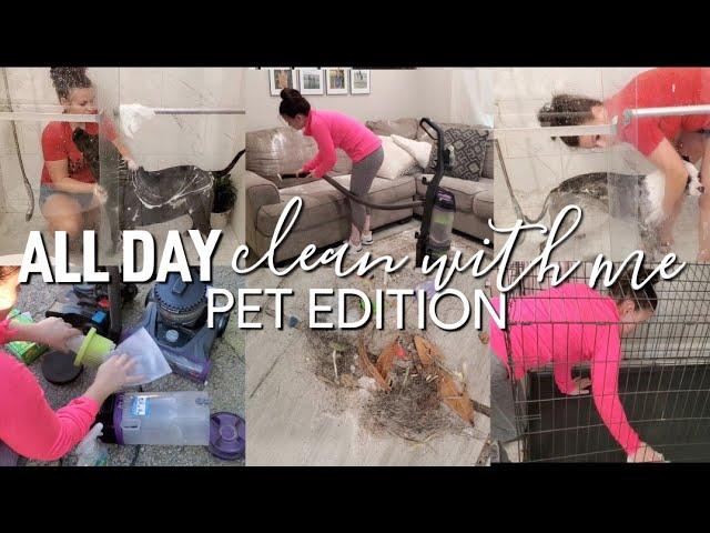 ALL DAY SATISFYING CLEAN WITH ME | How to keep a clean house with pets!