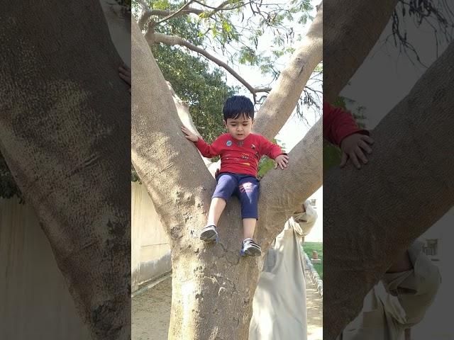 I can not sit on a tree!!!