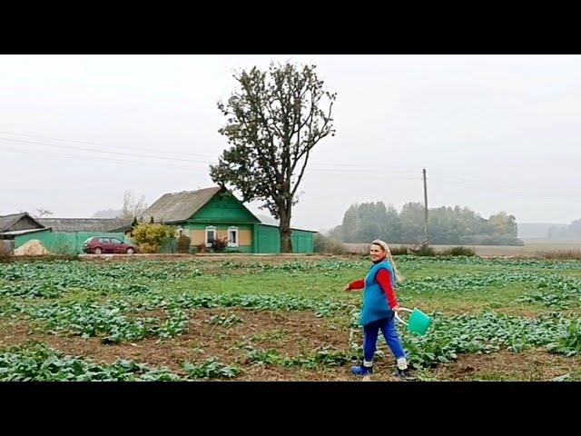 НАША ЖИЗНЬ на КРАЮ БЕЛОРУССКОЙ ДЕРЕВНИ. Вернулись домой.