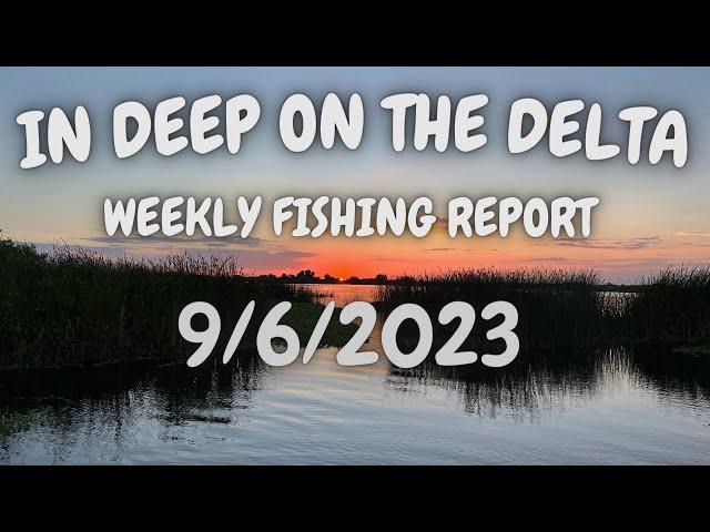 The In Deep On The Delta Report for 10/7/2023.