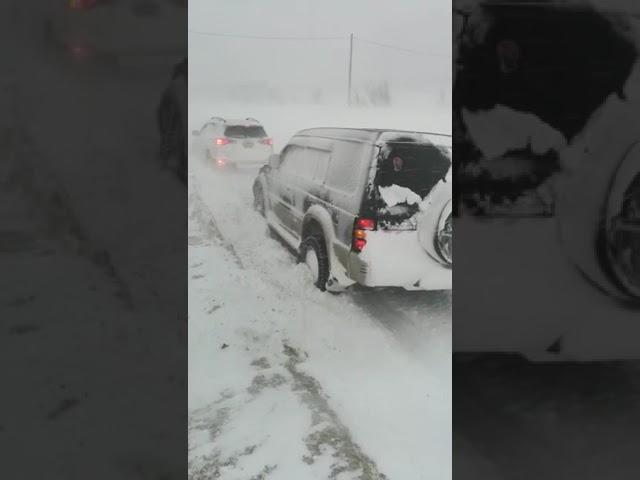 Очевидцы: две колонны автомобилей застряли в метель на трассе в Корсаковском районе