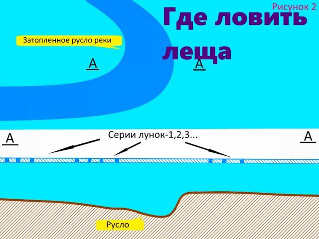 Советы новичкам 2 прикормка на зимней рыбалке для леща.