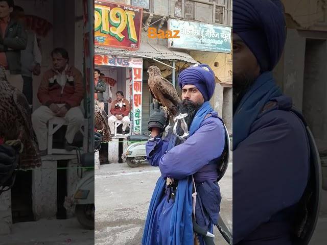 nihang##budhadal #baj#youtubeshort #shorts #sikh #p#india #budhadal #96croori #khalsa #comment