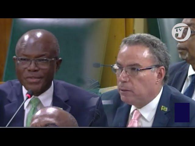 'You Haven't Learnt' - Vaz to Warmington after Heated Exchange in Parliament | TVJ News