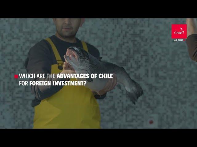 Chile: an atractive destination for foreing direct Investment | Marca Chile