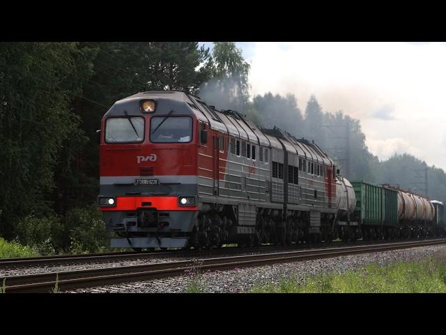 Train videos. Trains on the Tyumen - Tobolsk railway. Russia. Tyumen region. July 2024