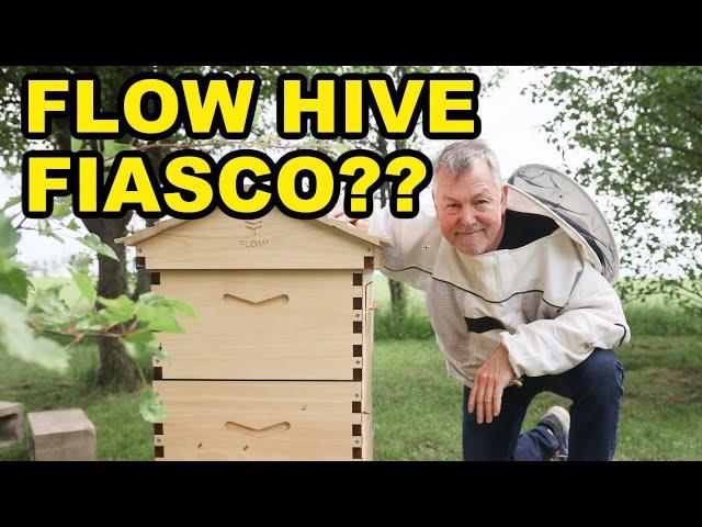 Beekeeping Flow Hive: Worth The Dough Or Gimmick That Blows?