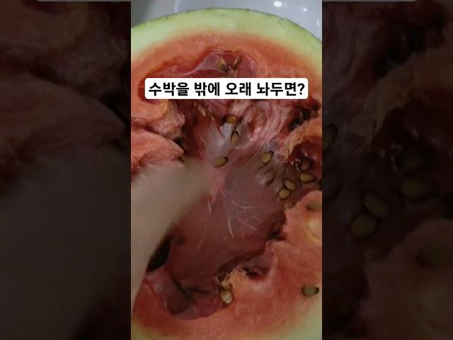 수박을 밖에 오래 놔두면?