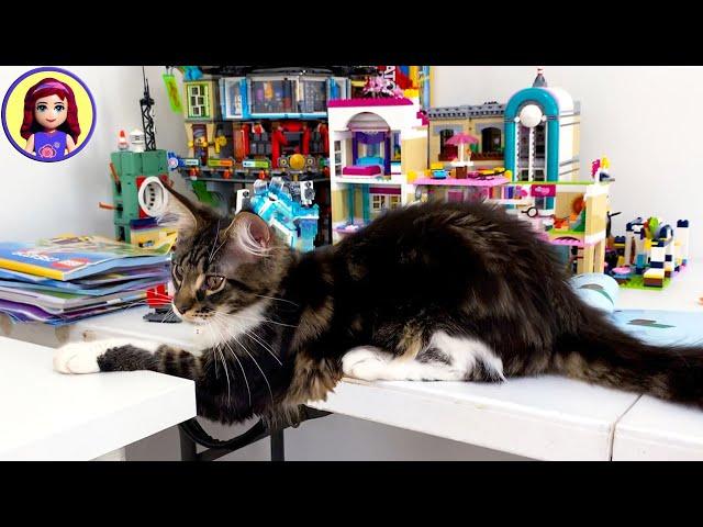 Rainbow Apartment Destruction! Lego VS Kitten