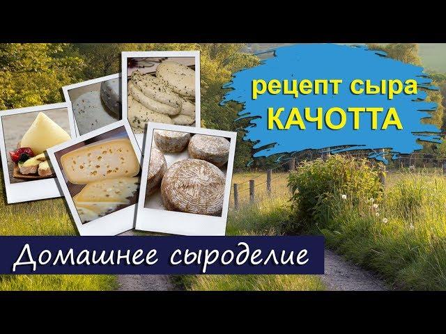 Домашнее сыроделие. Сыр Качотта/Caciotta из Козьего молока.  Подробный рецепт!