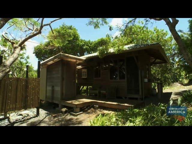 Tree Fort | Buying Hawaii