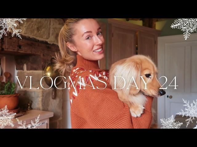 A NEW ADDITION TO OUR FAMILY FOR CHRISTMAS  An Emotional End to Vlogmas  Vlogmas Day 24