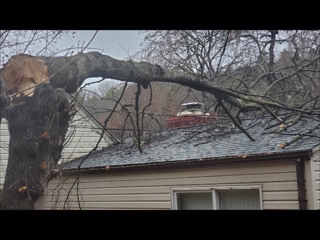 Remove Tree from House Roof DIY