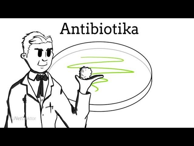 Antibiotika: Wirkungsweise - NetDoktor.de