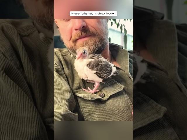 This man found an egg on the grass and raised the chick inside