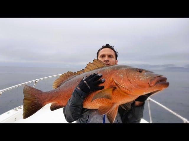 2° BAHIA CUPICA - PACIFICO COLOMBIA - CRISTIAN VANEGAS - 2019. Abril.