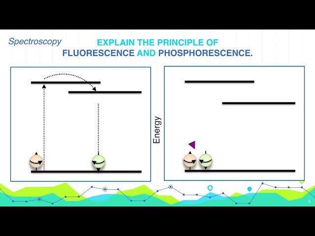Explain the principle of  Fluorescence and Phosphorescence. | Analytical Chemistry