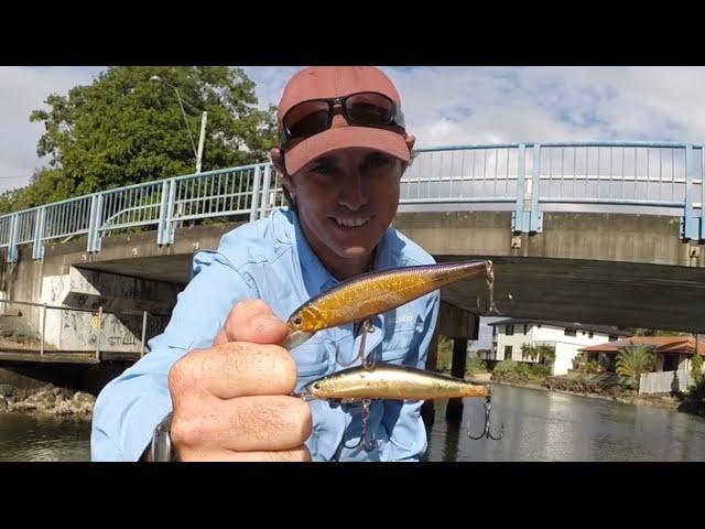 Tips on catching Mangrove Jacks around bridges