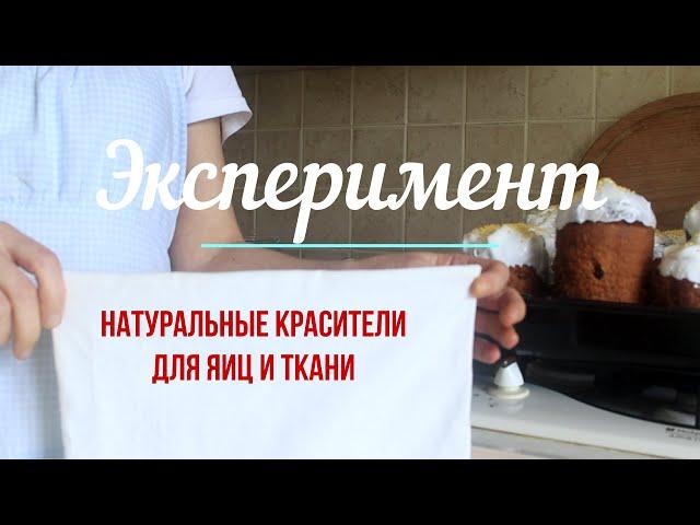 ️Эксперимент! Натуральные красители для яиц и ткани