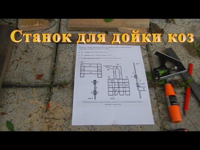 Станок для дойки коз