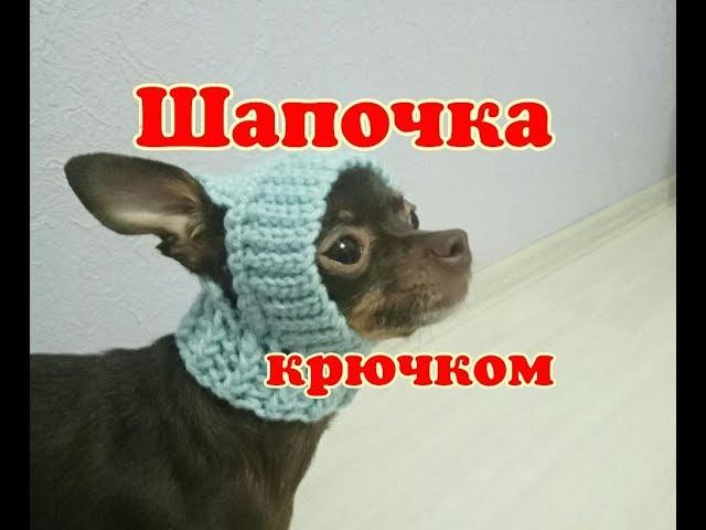 Шапочка для собаки крючком,  DIY suit for dogs & cats