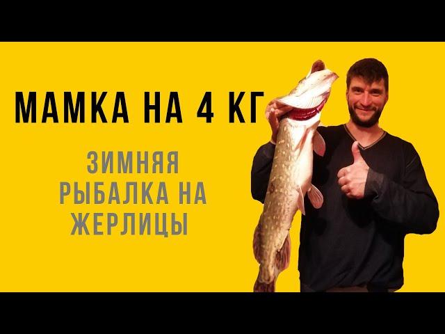 МАМКА НА 4 КГ | ЩУКА НА ЖЕРЛИЦЫ | ЩУКА ЗИМОЙ НА ПОДКОВЕ |ЗИМНЯЯ РЫБАЛКА