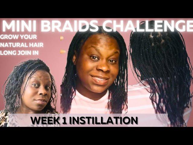 2 months mini braids challenge for massive hair growth on type 4 NATURAL HAIR achieve goals