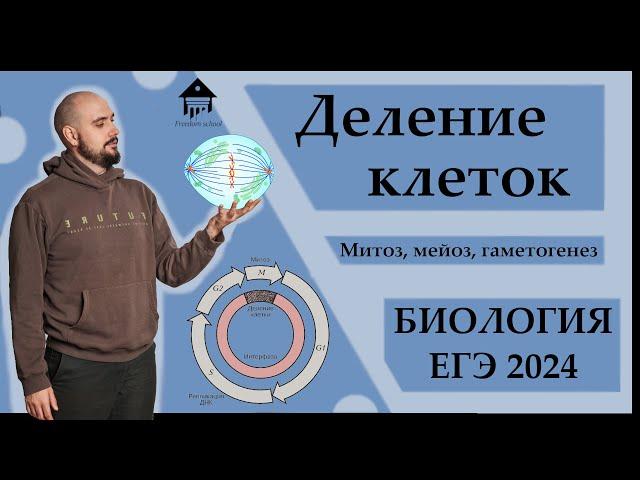 ДЕЛЕНИЕ КЛЕТОК. Митоз, Мейоз, Гаметогенез для ЕГЭ 2024 |ЕГЭ БИОЛОГИЯ|Freedom|