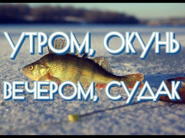 РЫБАЛКА. ВИЗОВСККИЙ ПРУД, Баран. В день. Утром окунь, вечером судак. Выходной день.